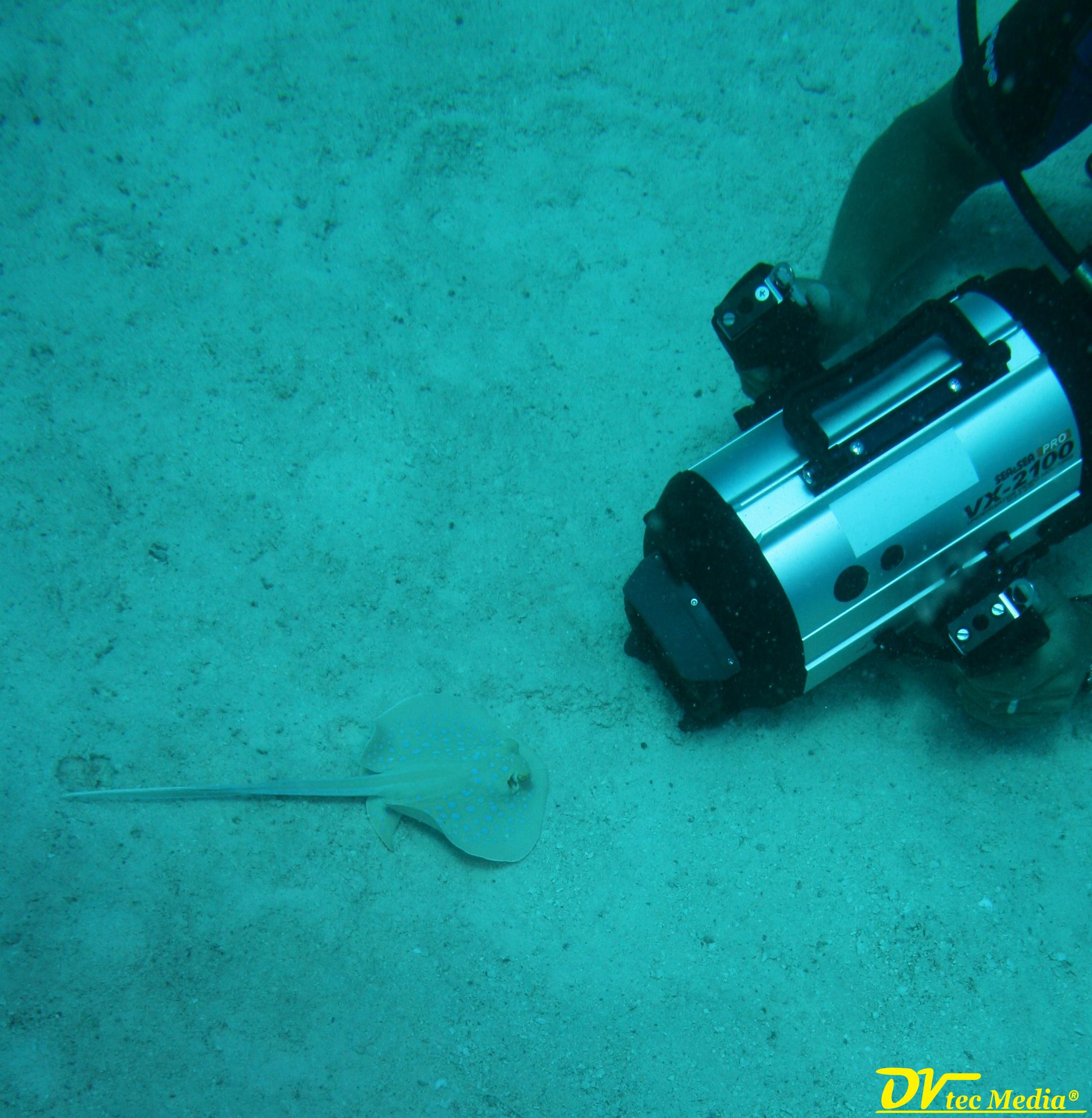 Image is not available